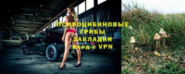 прущая мука Богданович