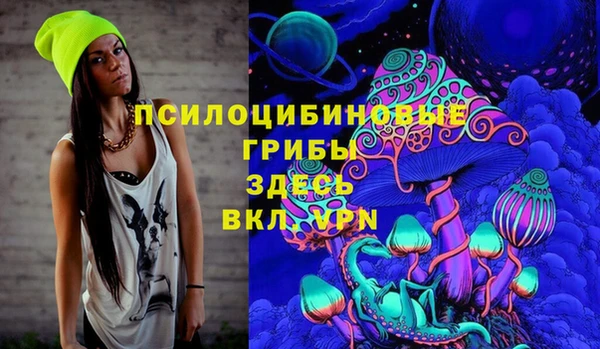 скорость Богородицк