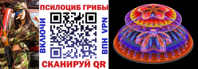 цена   Краснозаводск  Псилоцибиновые грибы прущие грибы 