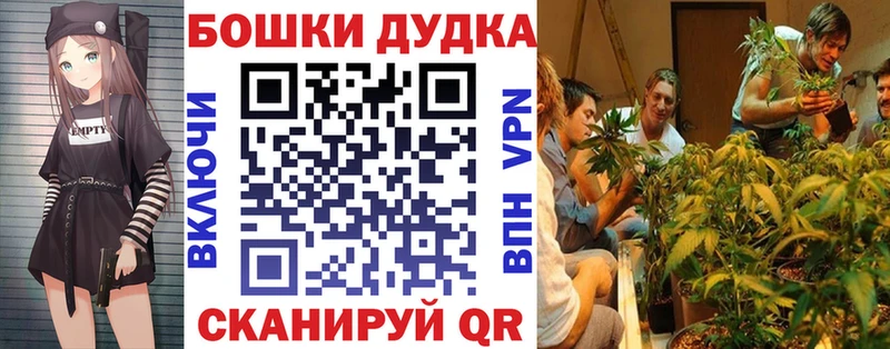Конопля Amnesia Краснозаводск